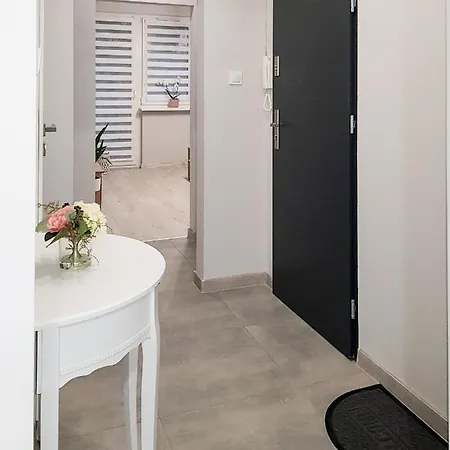 Nowoczesny Apartament Przy Spodku.
